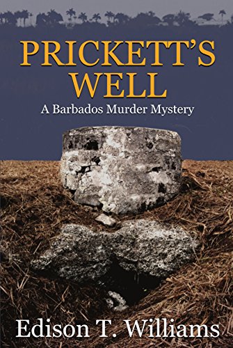 prickett's well book cover