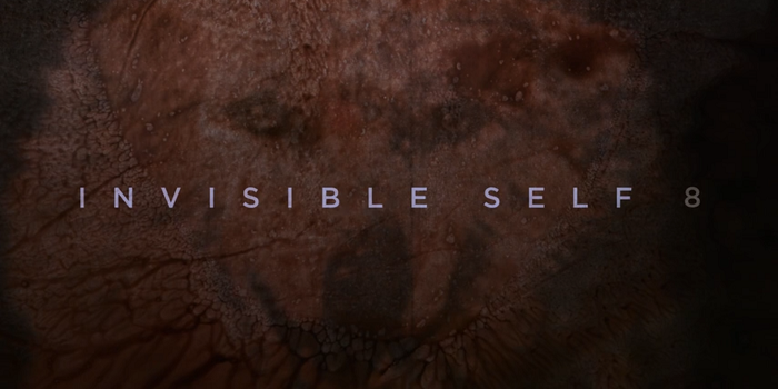 The OA S01E08 Recap