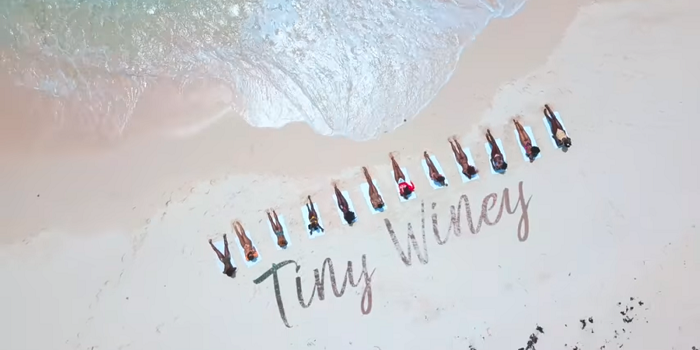 ICYMI: ‘Tiney Winey’ Music Video Released